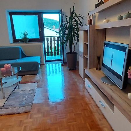 Apartma Pr' Ivani Miskorinovi Breginj Exteriér fotografie