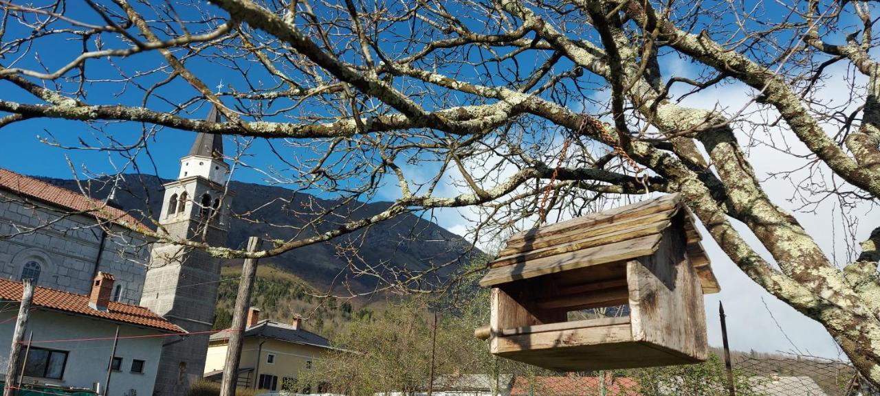 Apartma Pr' Ivani Miskorinovi Breginj Exteriér fotografie