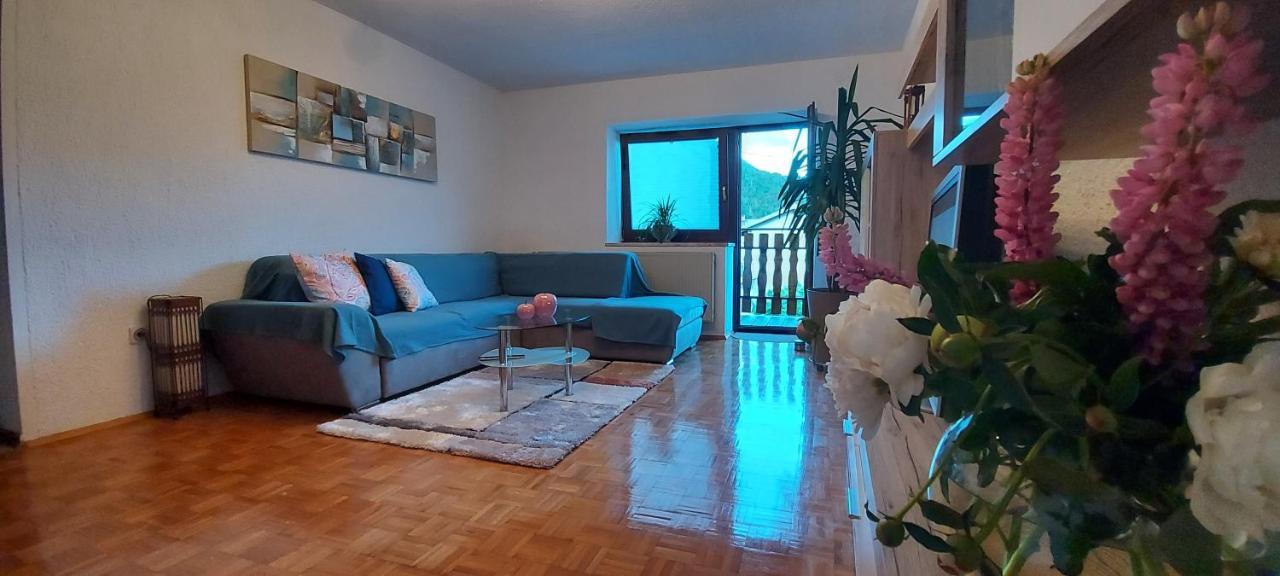 Apartma Pr' Ivani Miskorinovi Breginj Exteriér fotografie