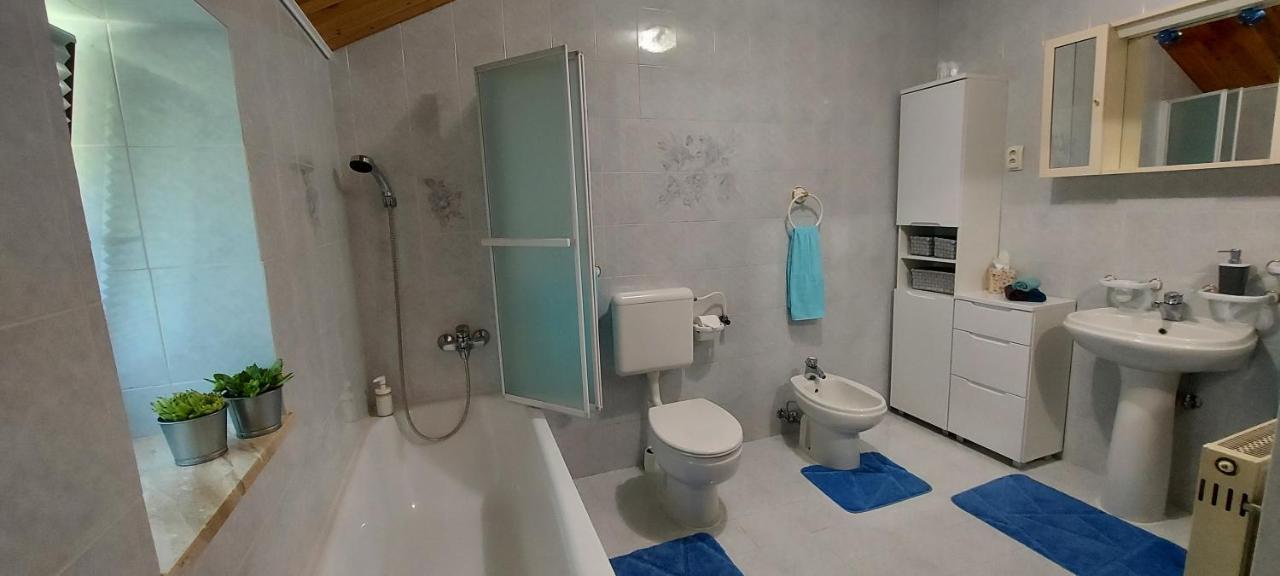 Apartma Pr' Ivani Miskorinovi Breginj Exteriér fotografie